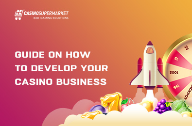 Guide on How to Develop Your Casino Business