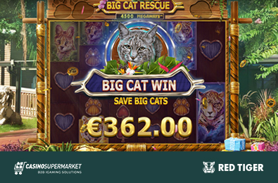 Red Tiger’s New Slot Will Save Big Cats