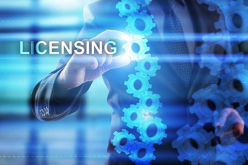 Gambling project licensing: key features