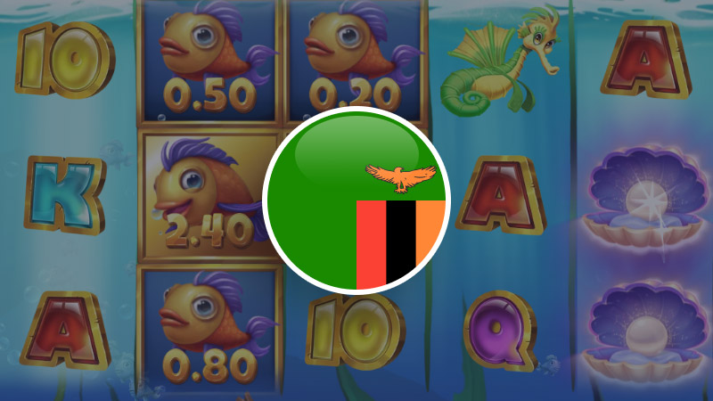 Zambia licence pros & cons Benefits and drawbacks of licensing in Zambia