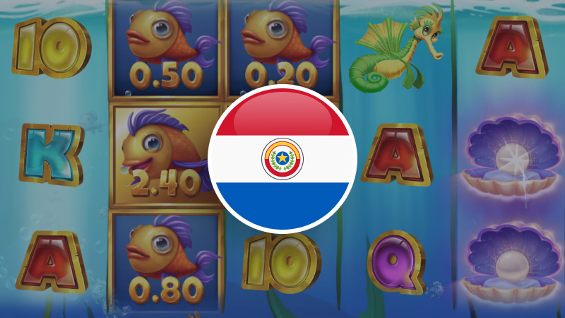 Benefits and nuances of licensing in Paraguay