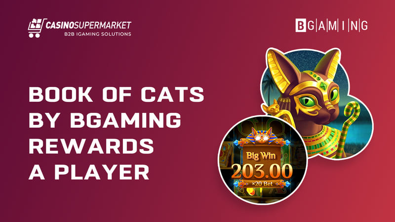 Book of Cats by BGaming rewards a player