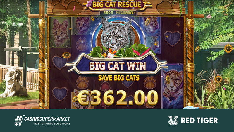 Big Cat Rescue Megaways by Red Tiger