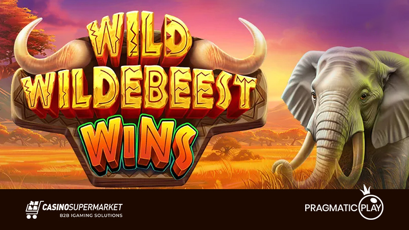 Wild Wildebeest Wins by Pragmatic Play