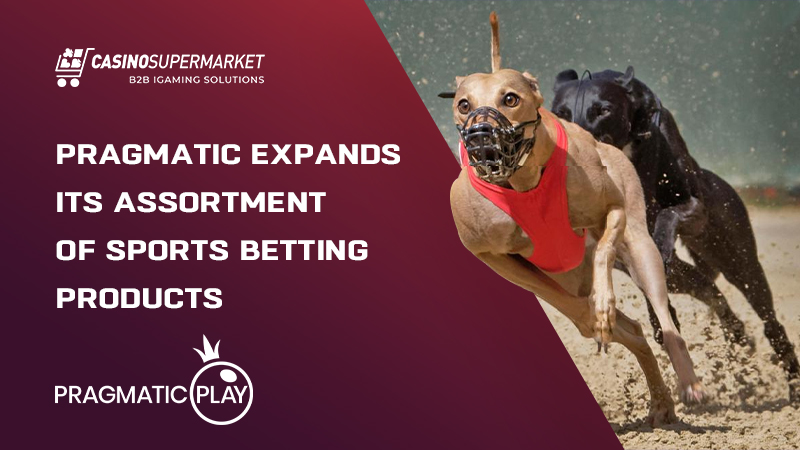 Bets on greyhound racing from Pragmatic: new addition