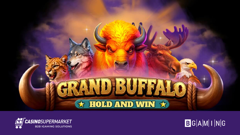 Grand Buffalo Hold and Win from BGaming