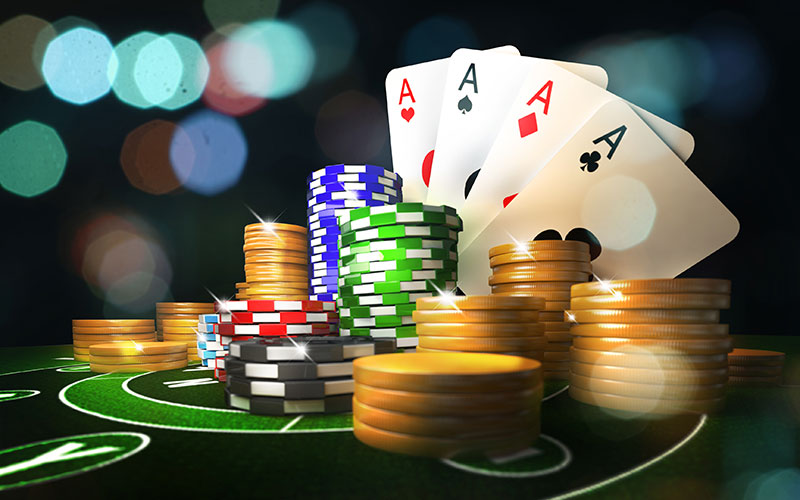 WM555 casino software: modern content