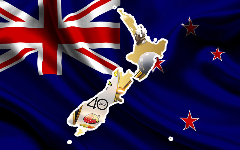 Gaming sphere in New Zealand: key notions