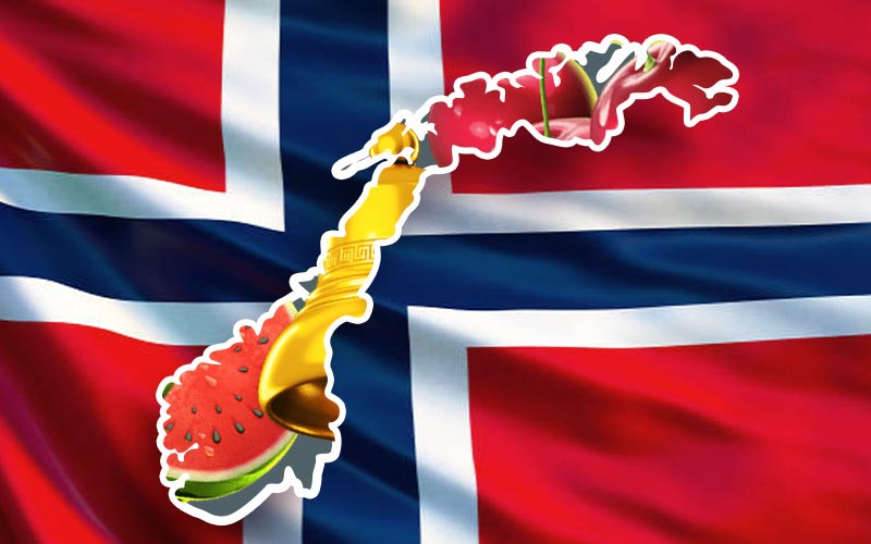 Competition on Norwegian market: key peculiarities